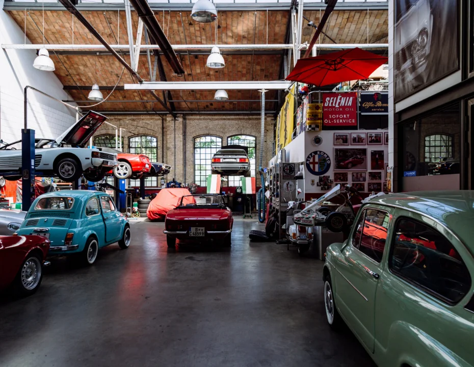 Fermentum Iaculis Eunon Phasellus