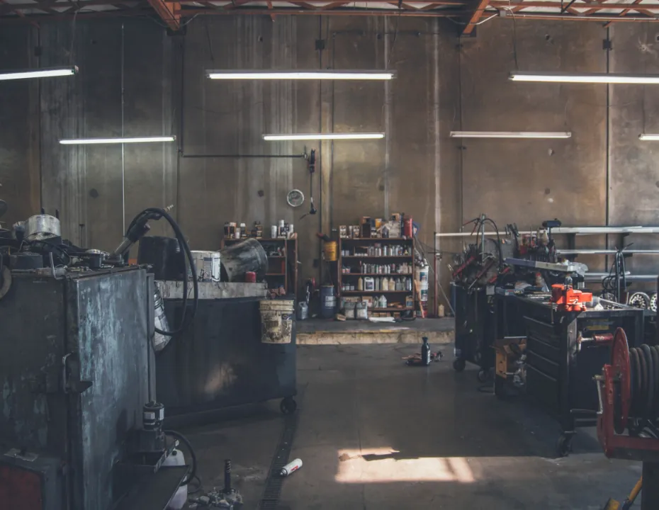 Accumsan Winonisl Misi Scelerisque